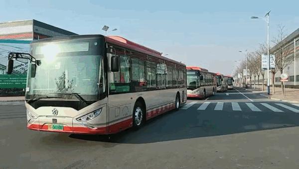 天津百年港口新颜绽放，魅力之城再创辉煌