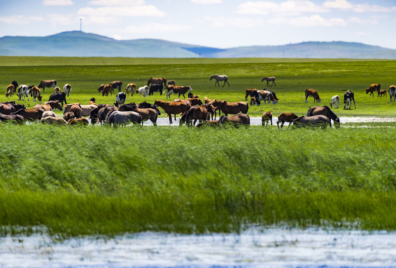 内蒙古的地理、文化与发展的深度研究