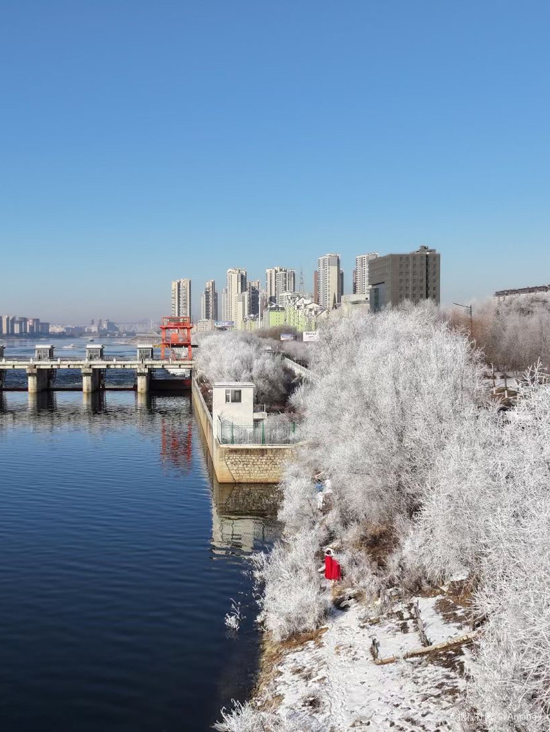 吉林日报聚焦吉林发展动态